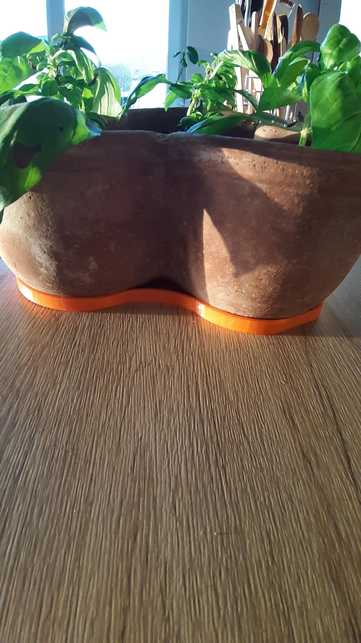 Pot stand under the orange - brown ceramic/clay pot planted with basil. Sideview.