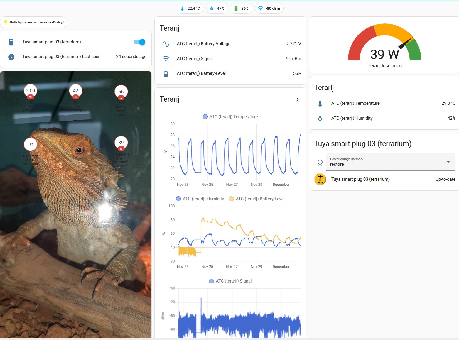 home assistant dashboard (1 of 40) showing various info about terrarium